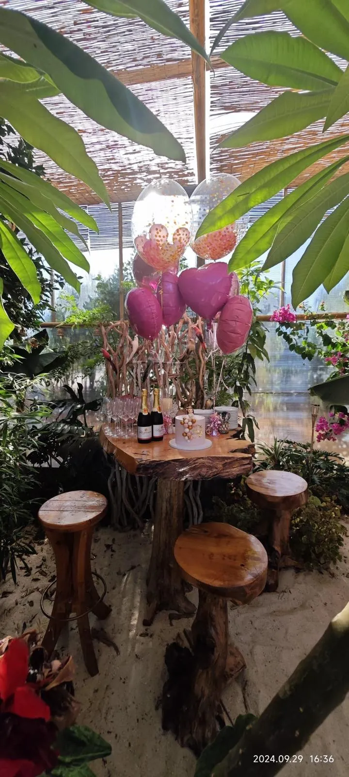 Christening at Algarve Jungle Events - photo 17