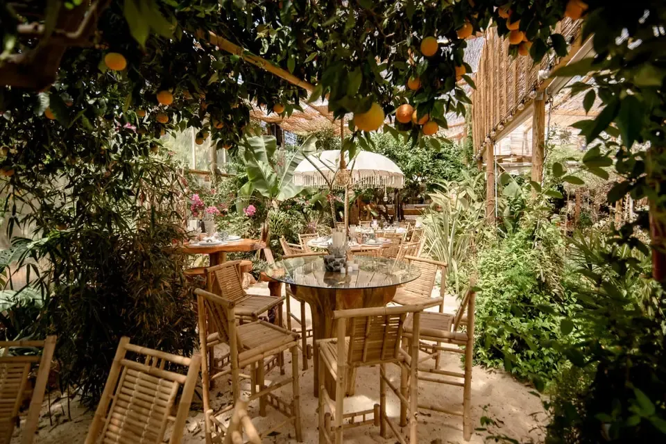 Algarve Jungle Events venue - photo 2