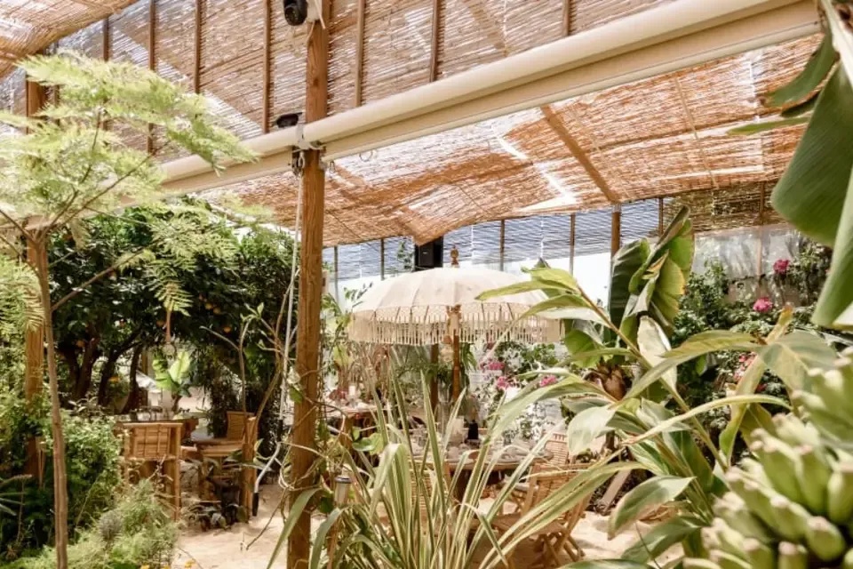 Algarve Jungle Events venue - photo 6