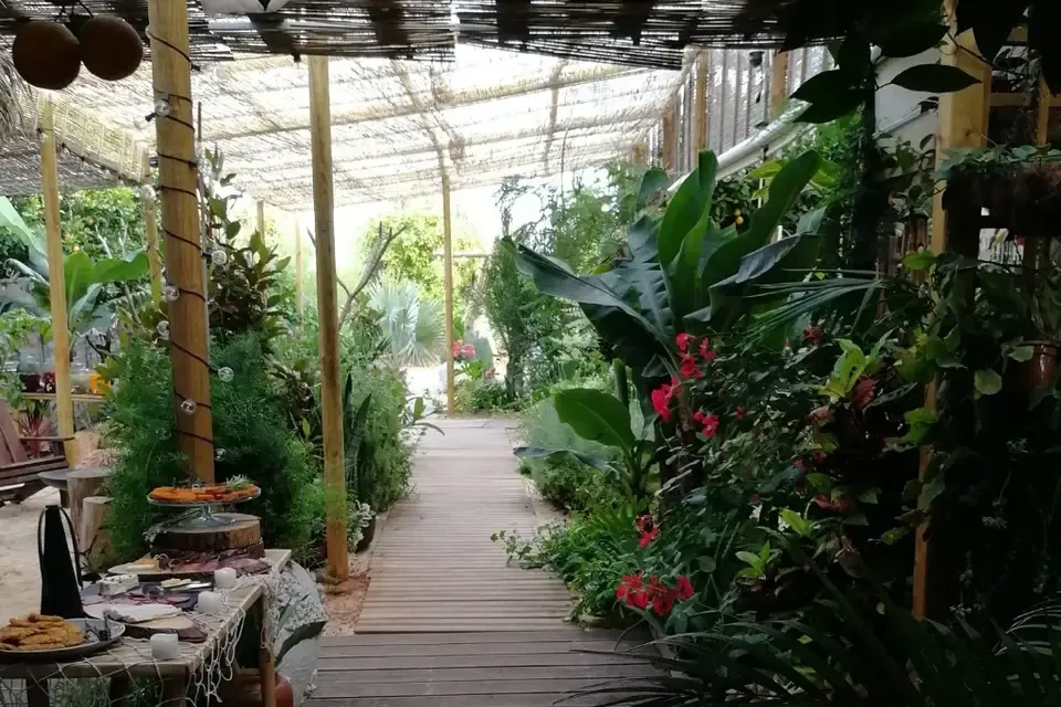 Algarve Jungle Events venue - photo 7