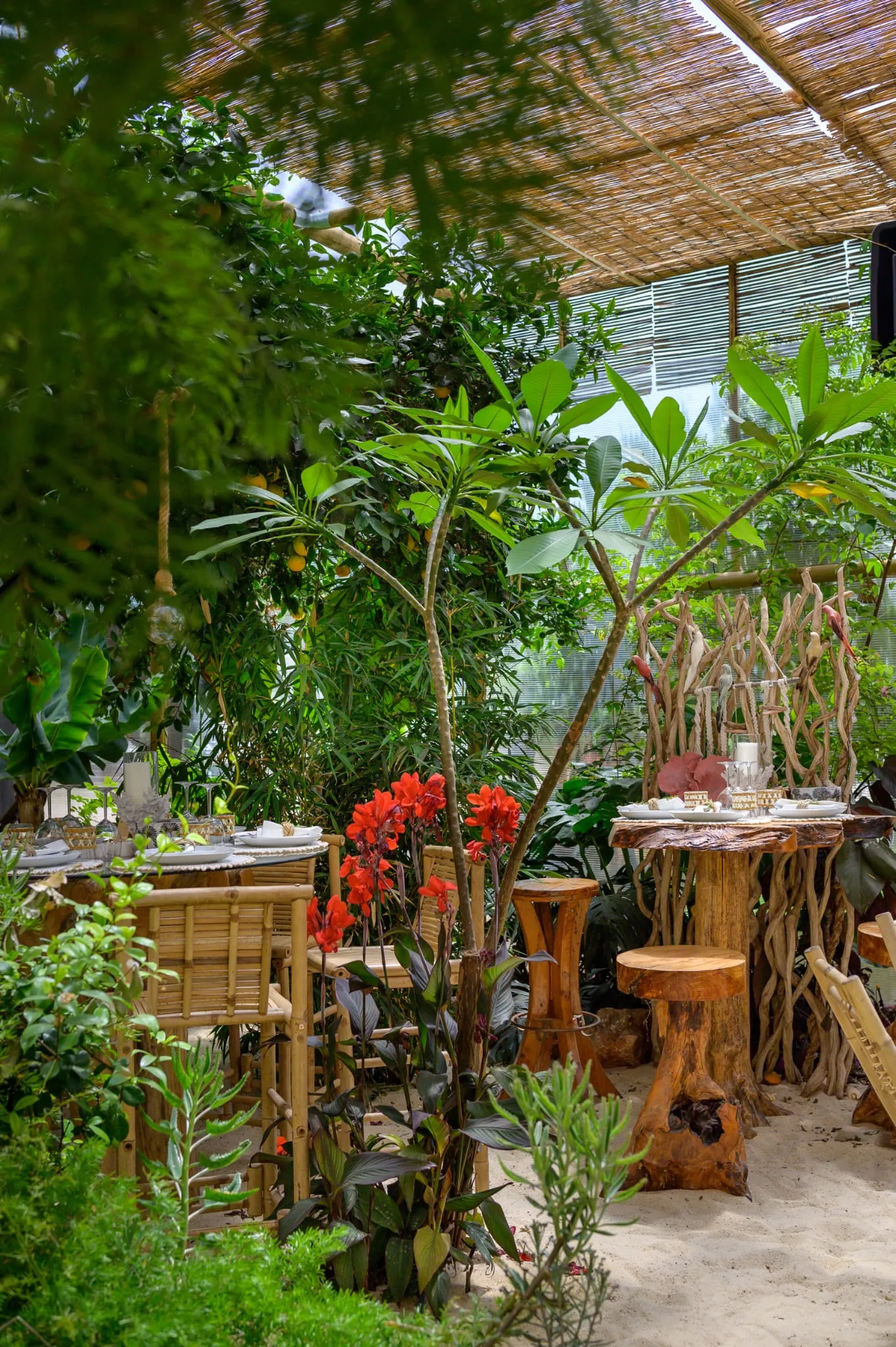 Algarve Jungle Events venue - photo 14