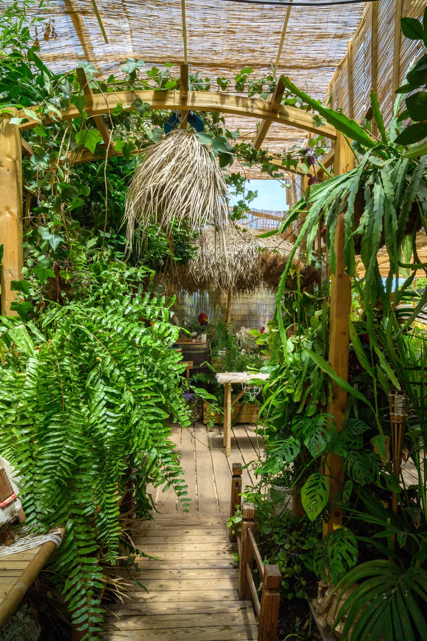 Algarve Jungle Events venue - photo 18