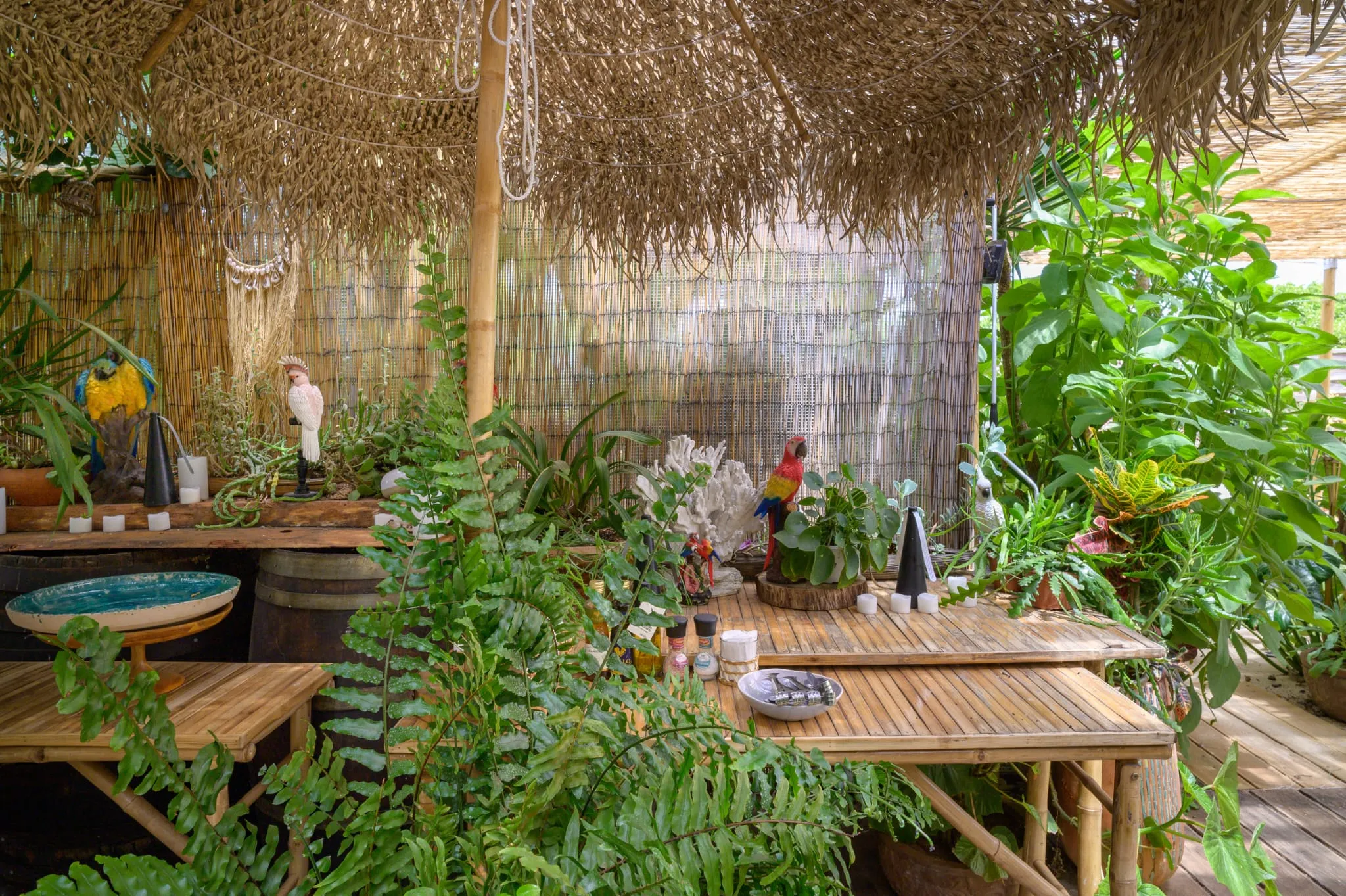 Algarve Jungle Events venue - photo 20