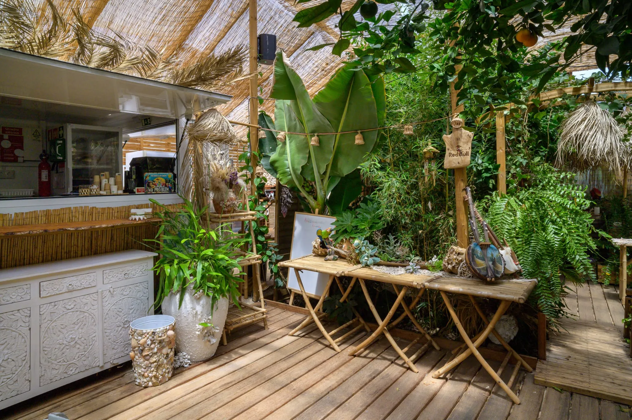 Algarve Jungle Events venue - photo 22