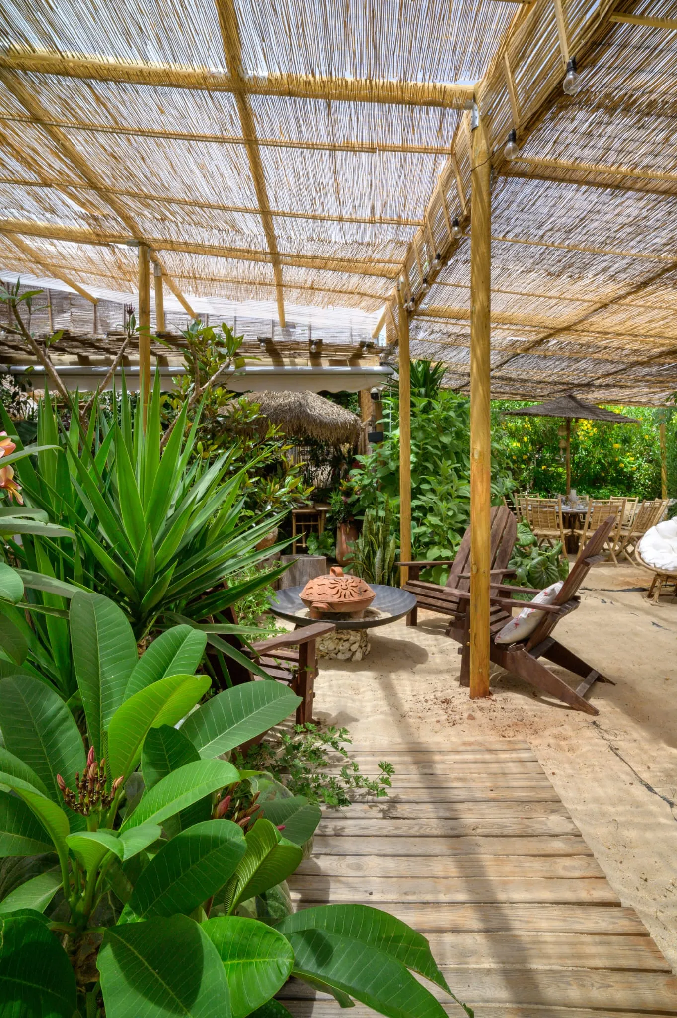 Algarve Jungle Events venue - photo 24