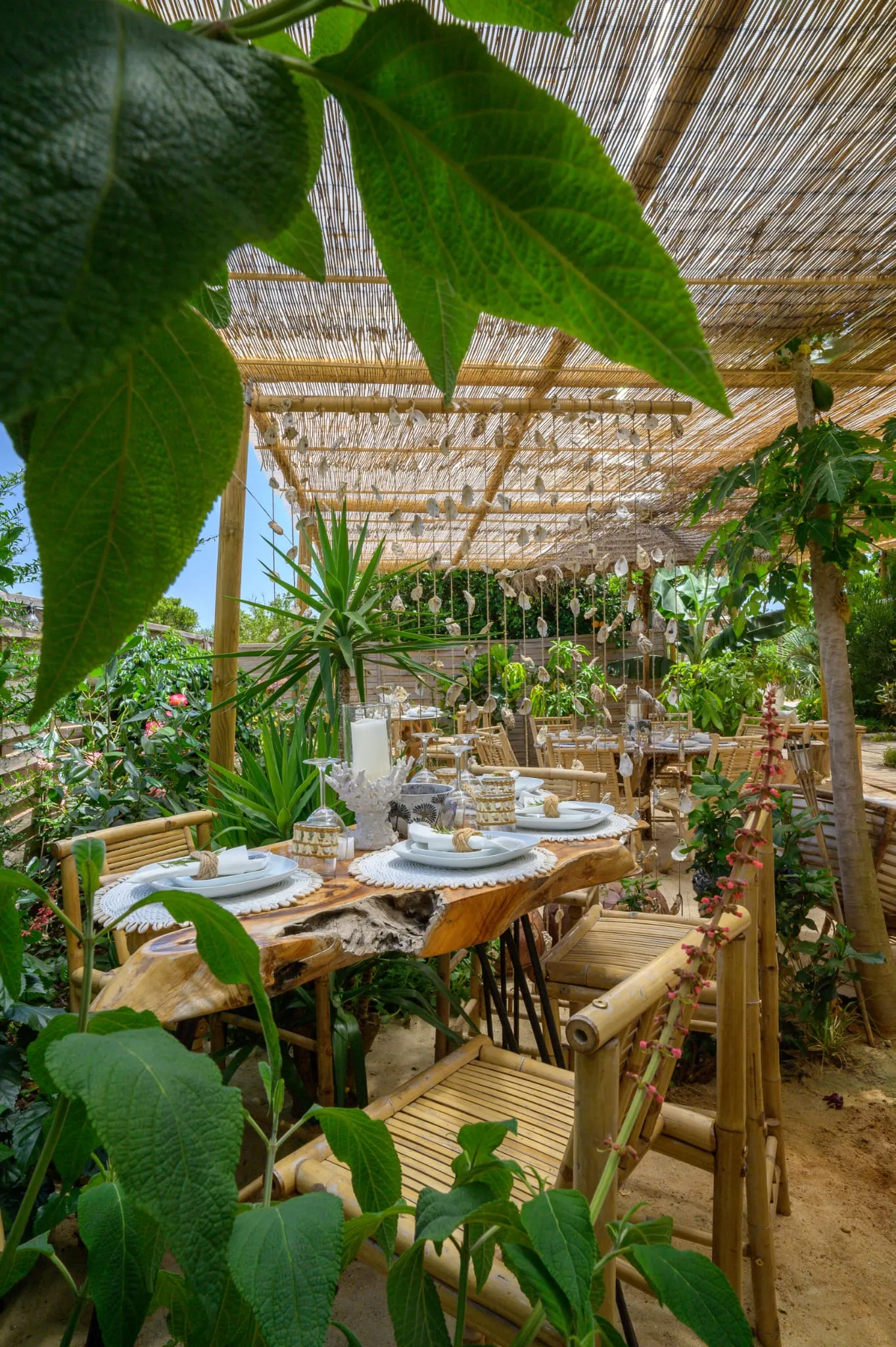 Algarve Jungle Events venue - photo 28