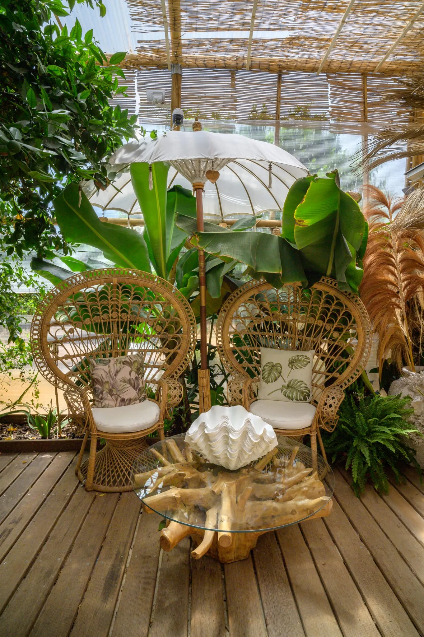 Algarve Jungle Events venue - photo 29
