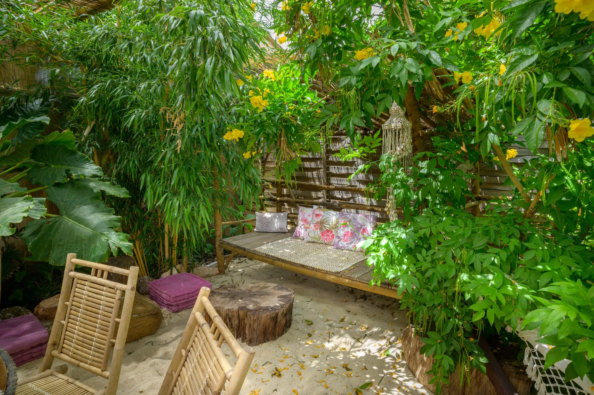 Algarve Jungle Events venue - photo 30