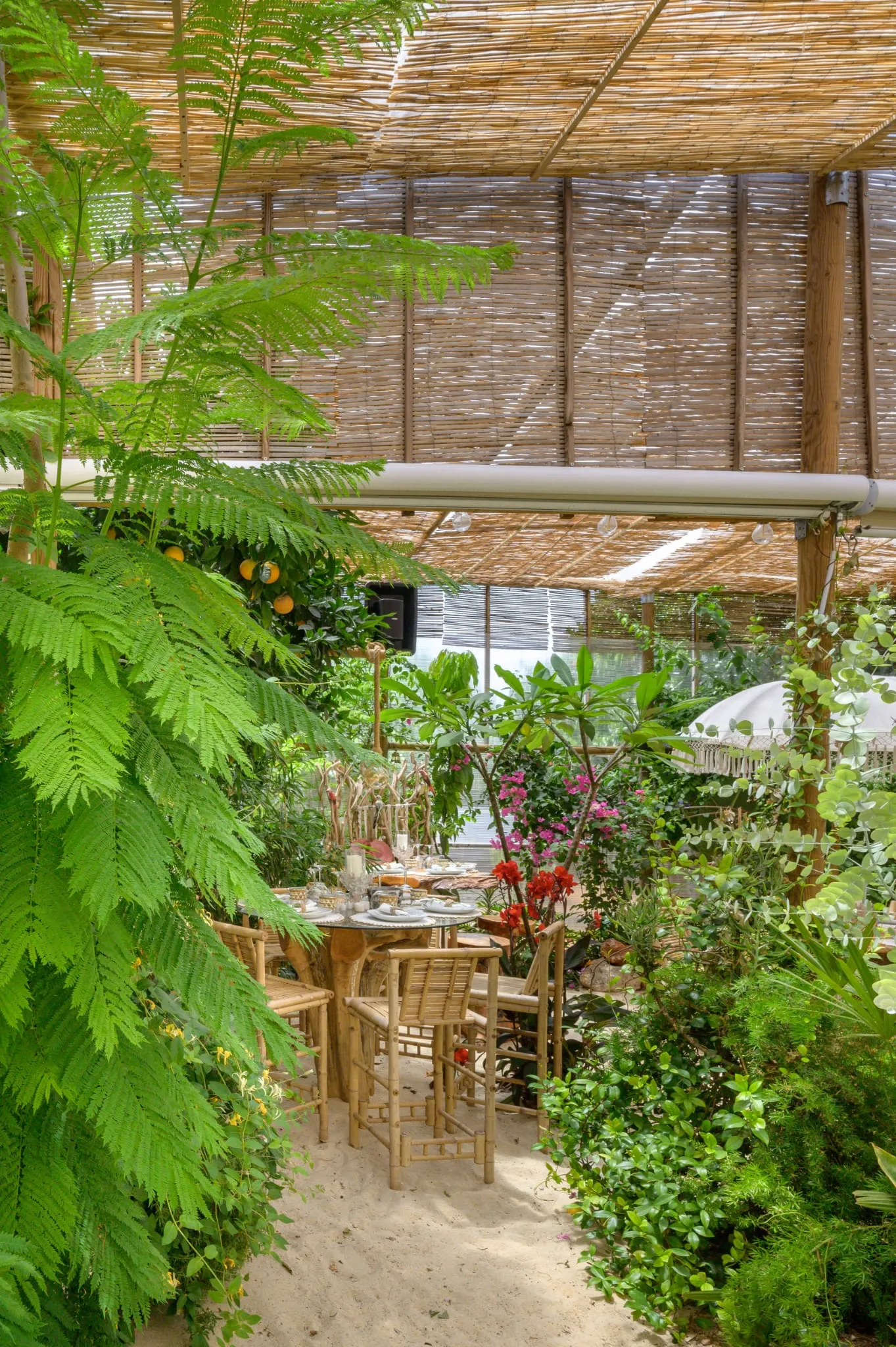 Algarve Jungle Events venue - photo 32