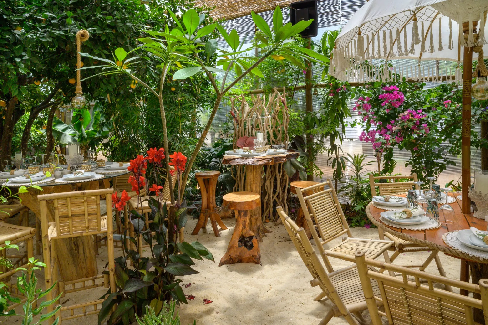 Algarve Jungle Events venue - photo 33