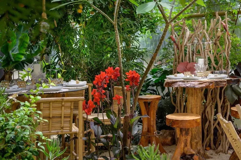 Mesa em raízes de madeira no jardim do Algarve Jungle Events, com vegetação tropical em fundo