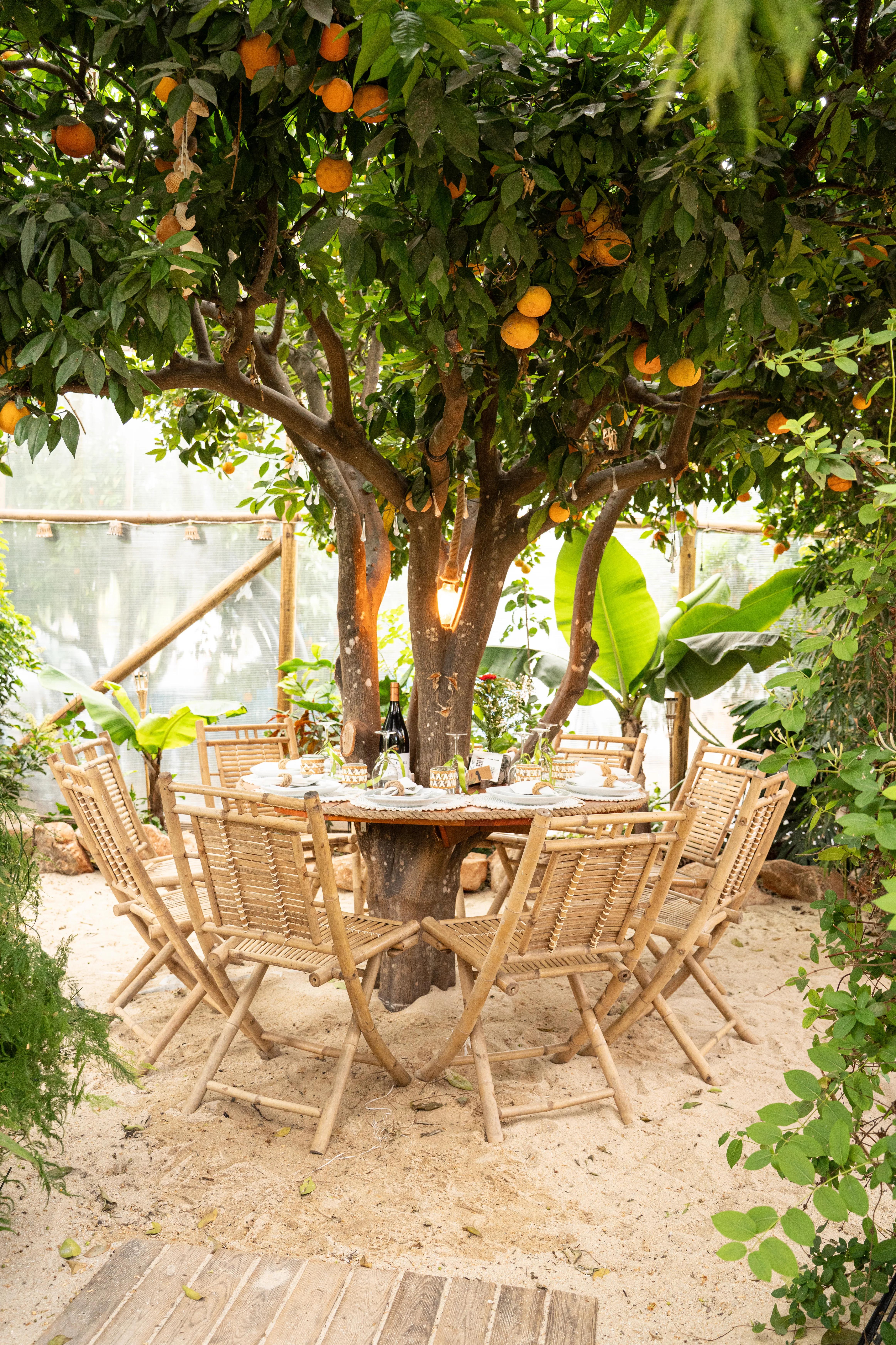 Round bamboo table set under an orange tree heavy with fruit, at Algarve Jungle Events